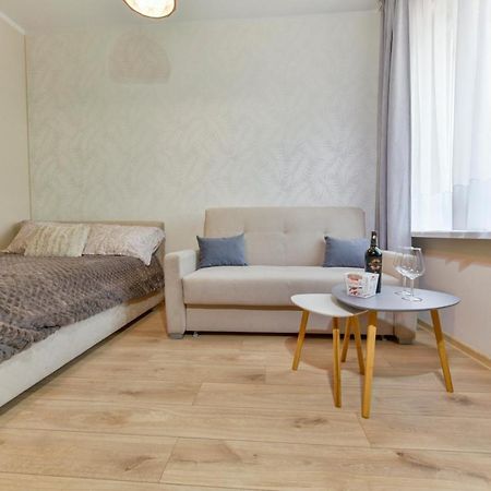 Apartament U Ani 2 Дзьвіжино Екстер'єр фото